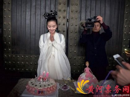 刘诗诗30岁生日剧照