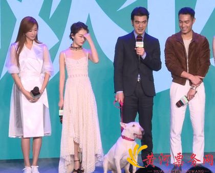 浪漫喜剧《喜欢你》发布会