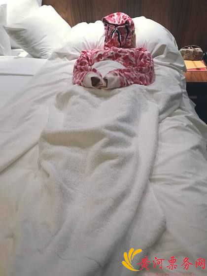 舒淇