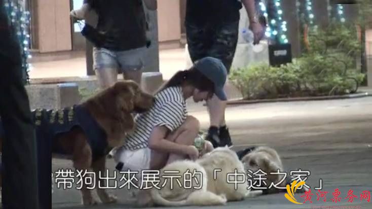 萧亚轩夜晚为救狗狗与路人争吵