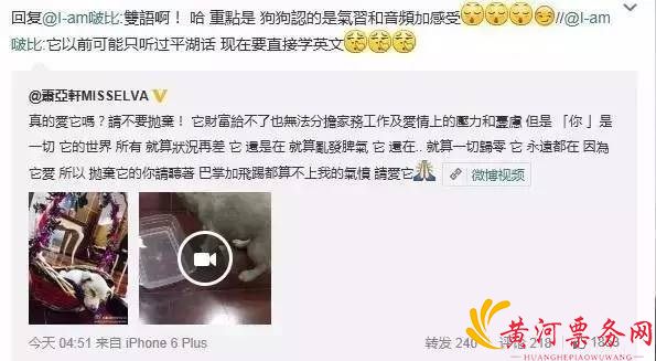 萧亚轩深夜为救狗狗与路人争吵