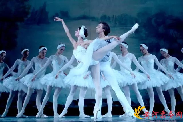 俄罗斯芭蕾天鹅湖门票价格