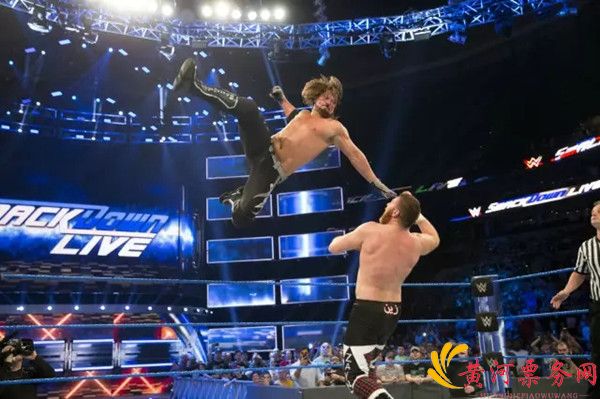 2017WWE深圳站AJ斯泰尔斯