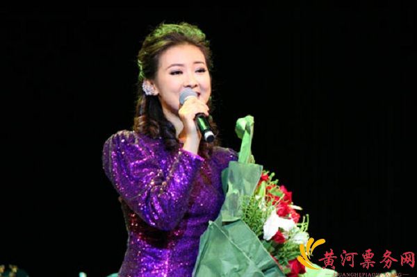 追忆邓丽君合肥演唱会