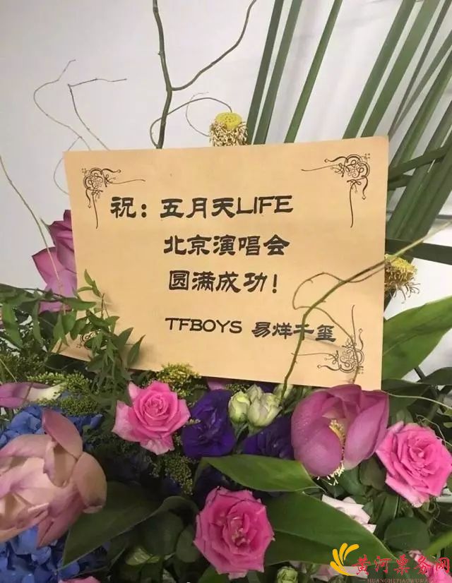 2017五月天洛阳演唱会