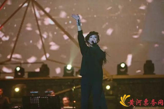 2017林忆莲武汉演唱会