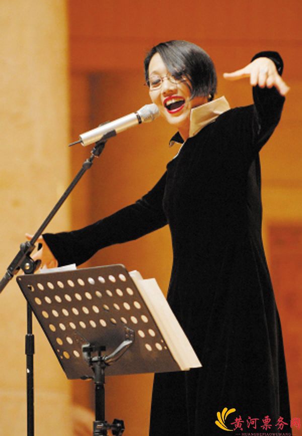 2017刘索拉中国击打郑州音乐会