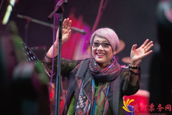 2017刘索拉中国击打郑州音乐会