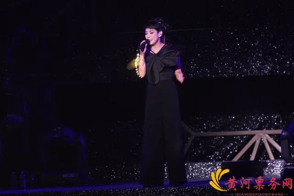 2017林忆莲绍兴演唱会 2017林忆莲绍兴演唱会