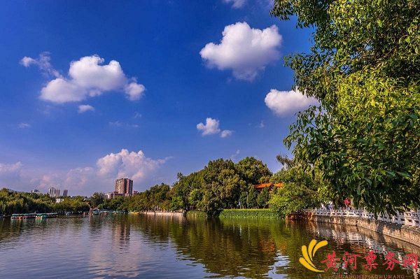 2017张韶涵纯粹Remix巡回演唱会-昆明站