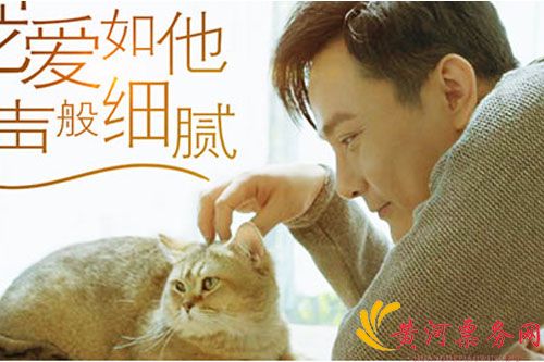 2023张信哲郑州演唱会门票