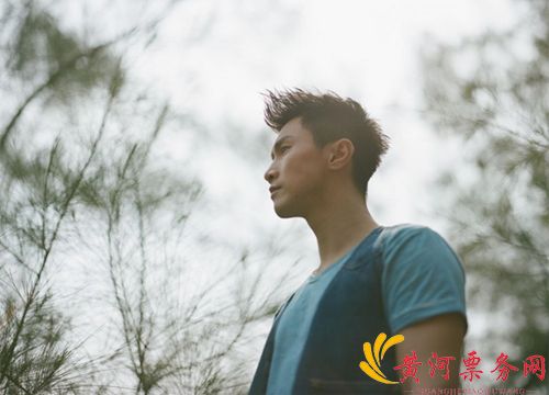 陈柏宇