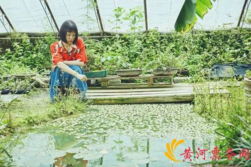 谢春花