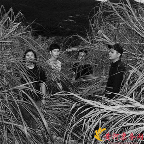2023珠海沙滩音乐节在哪买票？