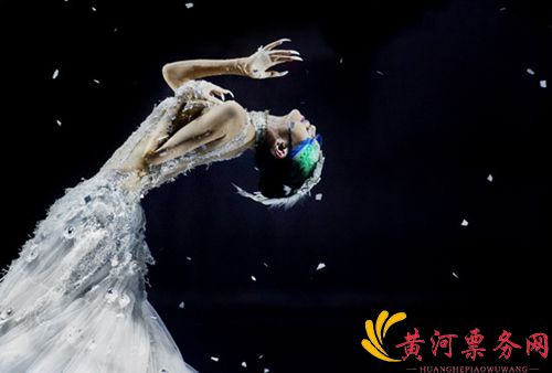 2018杨丽萍《孔雀之冬》郑州站