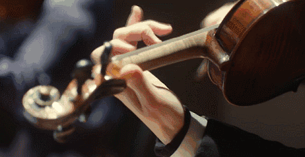 2020罗伯托卡尼福州音乐会