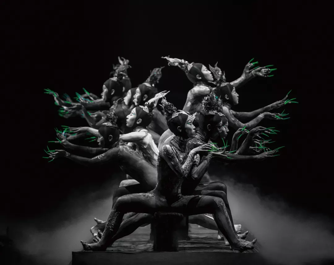 2019舞剧春之祭珠海站