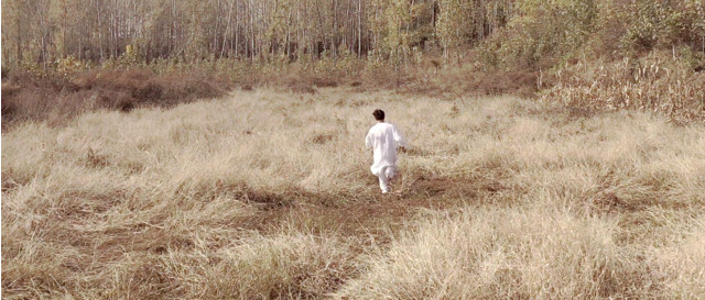 房东的猫晓月老板李晋沈阳演唱会