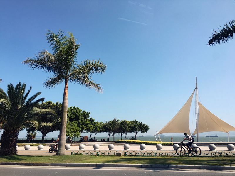 厦门音乐节2019时间表