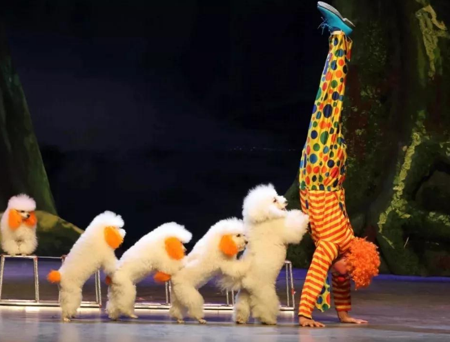 儿童剧《小丑动物嘉年华》郑州站