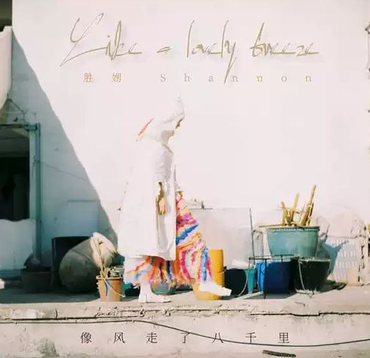 王胜娚杭州演唱会