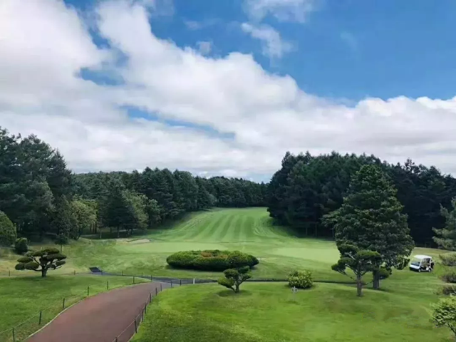 2019男子高尔夫球比赛武汉站