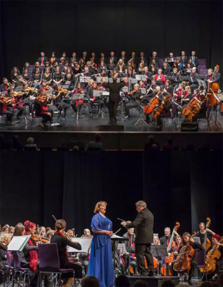 2020维也纳之声宁波音乐会