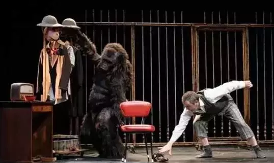 家庭剧黑色甜猩大连站