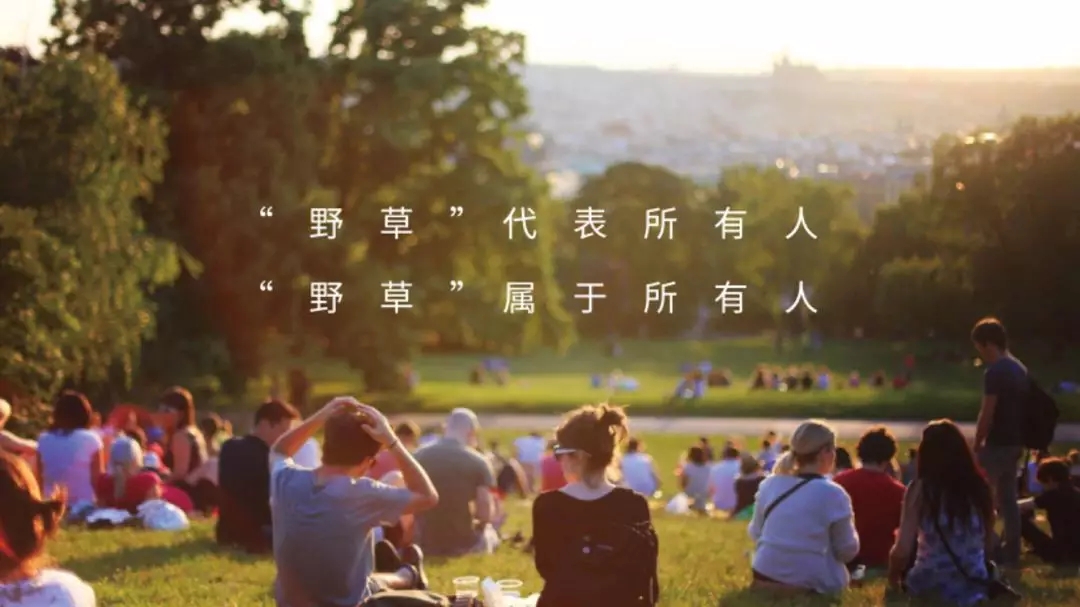 重庆野草音乐节