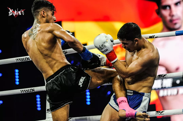 2019郑州武林风搏击世界杯