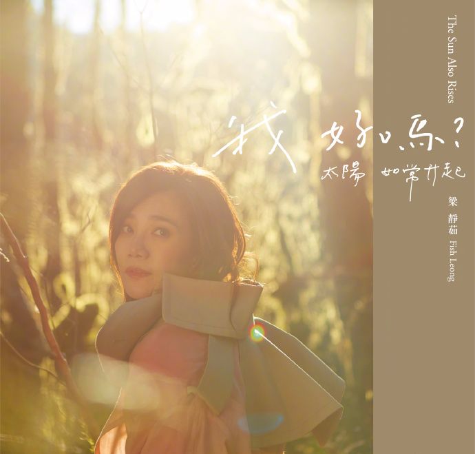 2020梁静茹长春演唱会