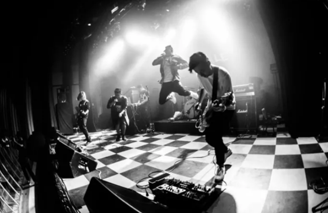 大布偶成都演唱会