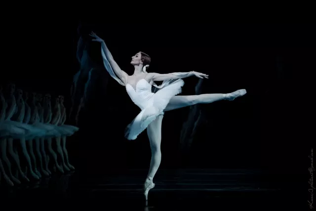 2019芭蕾舞剧天鹅湖广州站