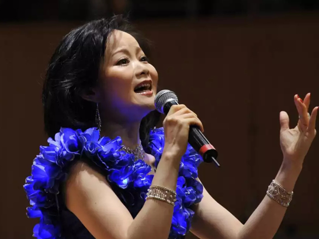邓丽君经典歌曲上海演唱会