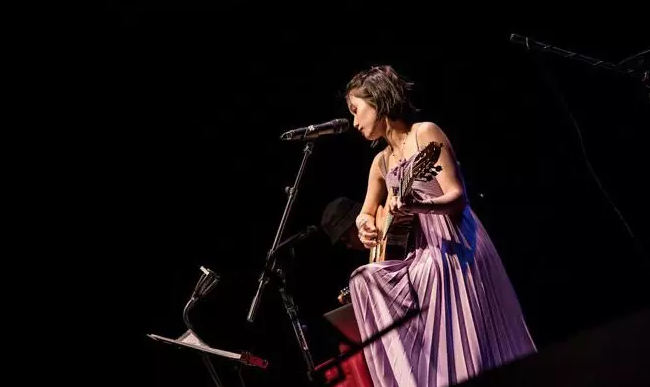 汪紫芸武汉演唱会