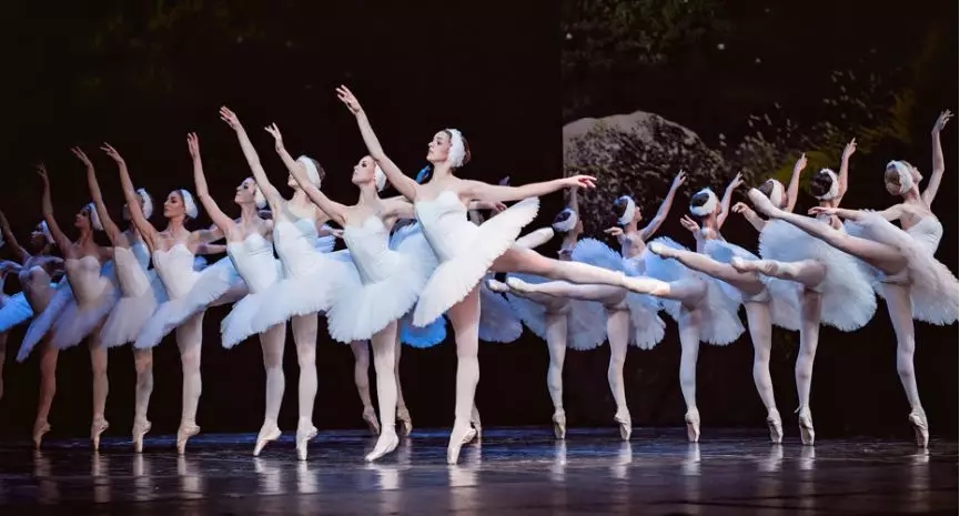 2020芭蕾舞剧《天鹅湖》南昌站