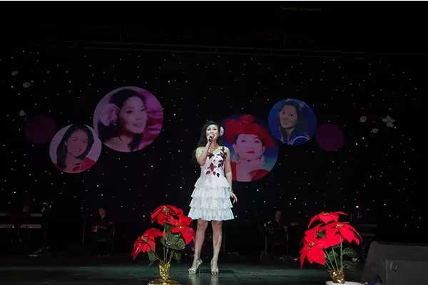 邓丽君经典歌曲上海演唱会