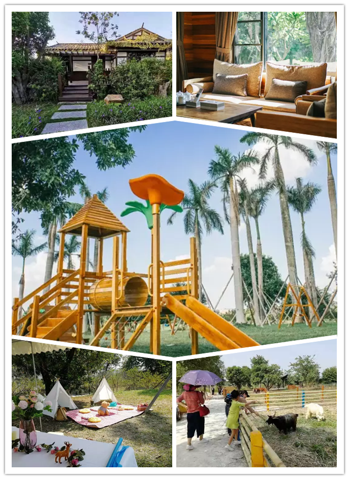 2019萌爸客明星快车东莞跨年音乐节