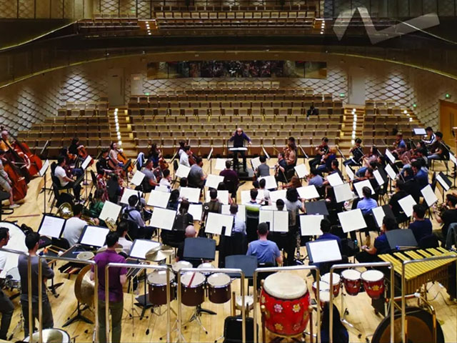 2020匈牙利狂欢夜苏州音乐会