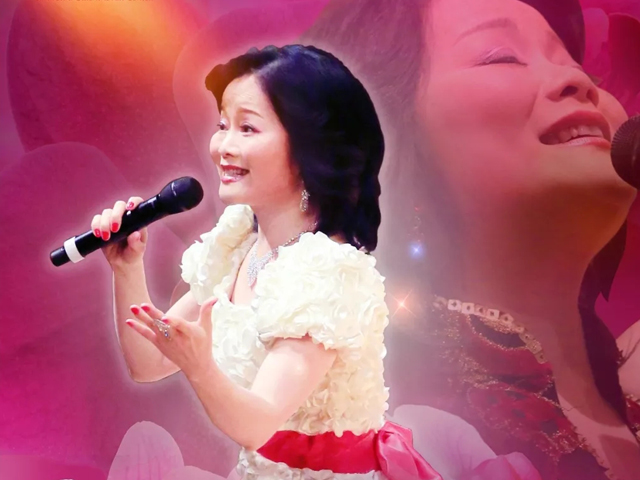 邓丽君经典歌曲上海演唱会