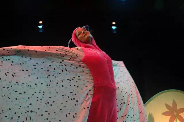 2020芭蕾舞剧《小小天鹅湖》成都站