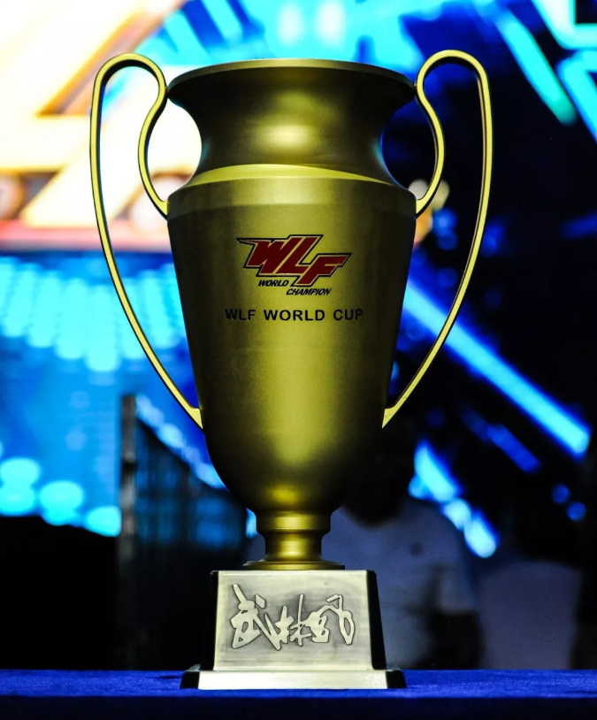 2019郑州武林风搏击世界杯