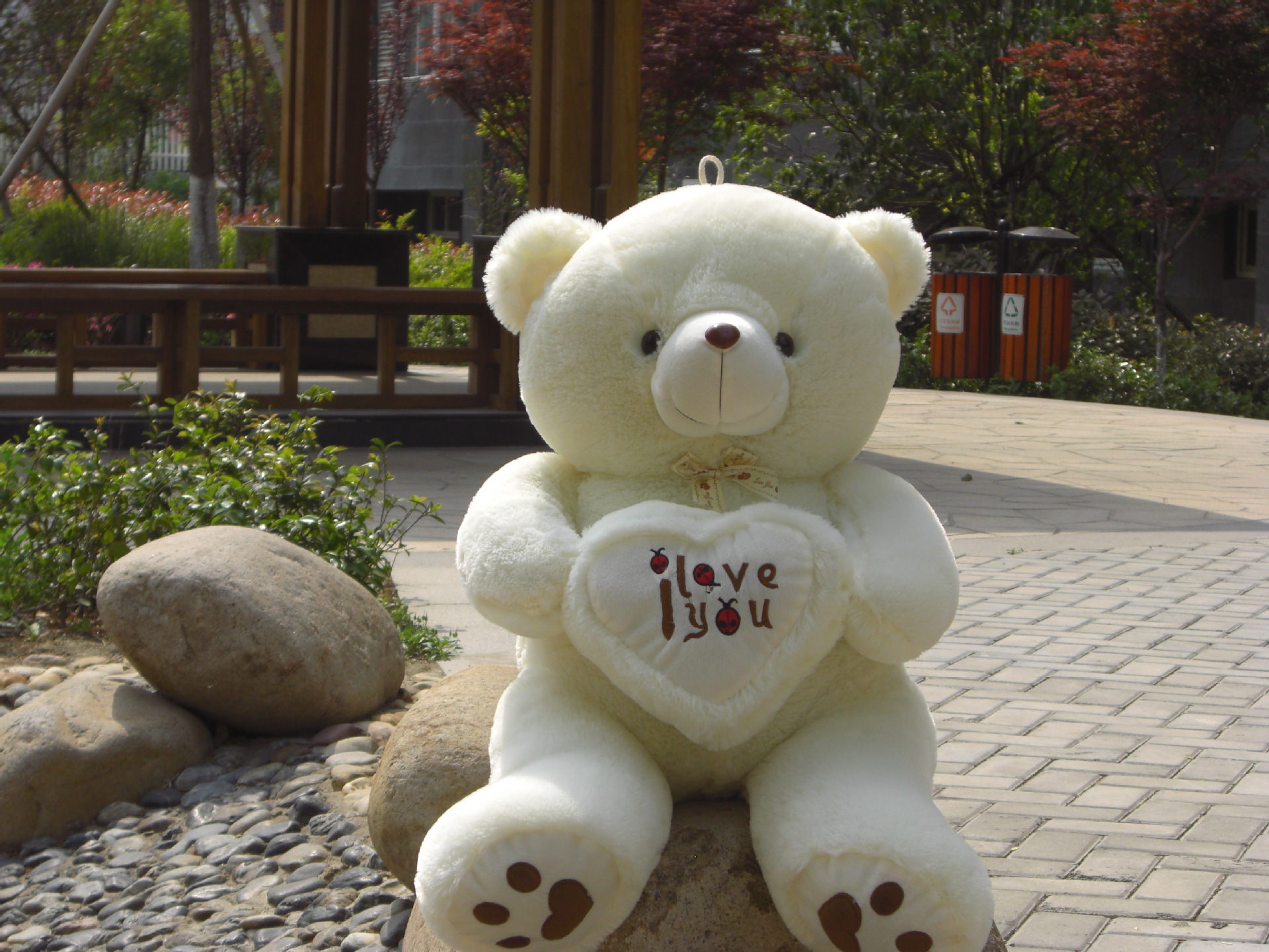 2019舞台剧《泰迪熊》石家庄站