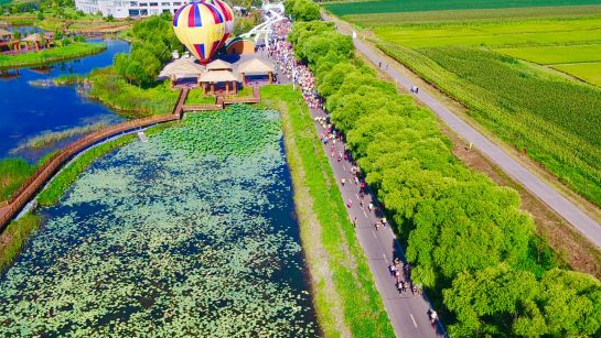 相约稻海2019富锦国际半程马拉松佳木斯站