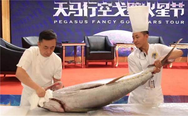 酒泉天马行空戈壁火星节