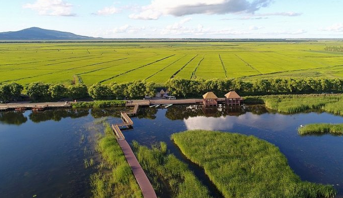 相约稻海2019富锦国际半程马拉松佳木斯站