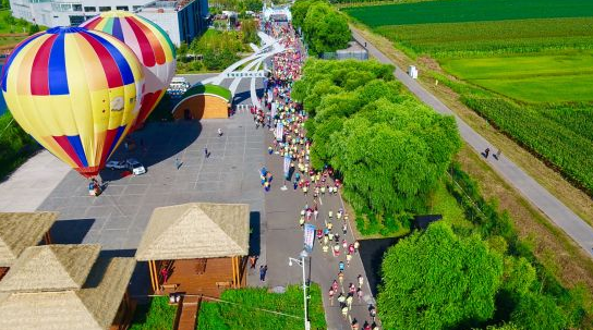 相约稻海2019富锦国际半程马拉松佳木斯站
