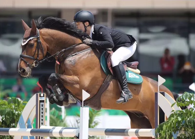 2019军人运动会马术比赛武汉站