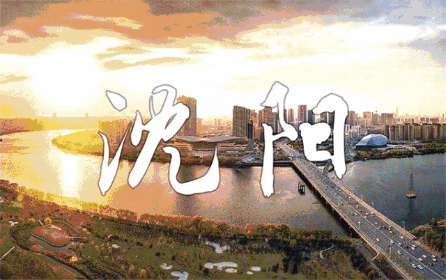 沈阳演唱会2019时间表