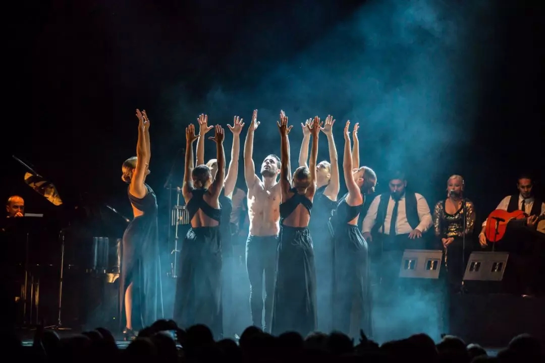 2020舞蹈《浴火重生》天津站